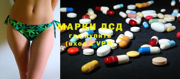 ПСИЛОЦИБИНОВЫЕ ГРИБЫ Богданович