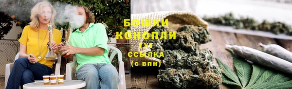 ПСИЛОЦИБИНОВЫЕ ГРИБЫ Богданович