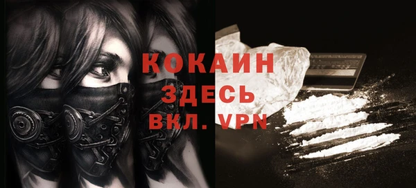 ПСИЛОЦИБИНОВЫЕ ГРИБЫ Богданович